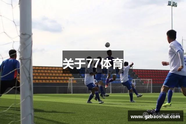 关于77体育